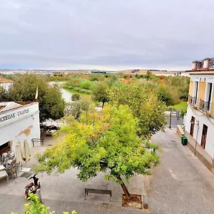 https://paseo-de-la-ribera-nuevo-y-luminoso-apartamento.es-andalucia.com